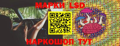 гидропоника Кинель