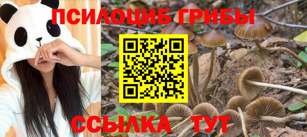 Псилоцибиновые грибы прущие грибы  Вход с VPN  Галлюциногенные грибы MAGIC MUSHROOMS  Красный Сулин 