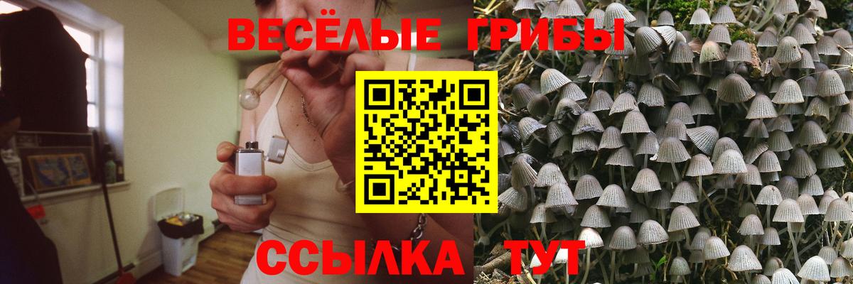 Псилоцибиновые грибы Psilocybine cubensis Красный Сулин